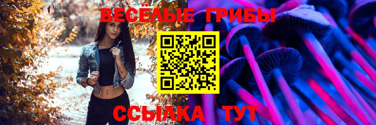 Галлюциногенные грибы прущие грибы  Галлюциногенные грибы Magic Shrooms  Жуковский  Вход с VPN 